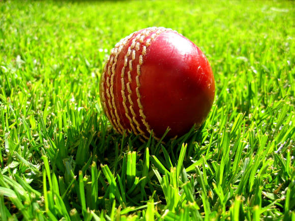cricket-1513138-1920x1440